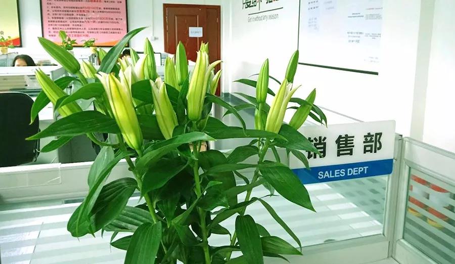 濃情七夕，最美祝福！